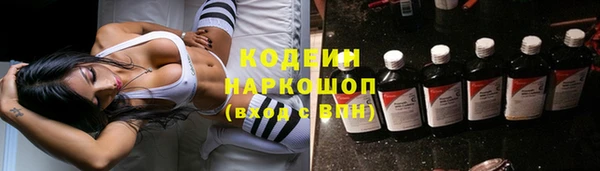 амф Няндома