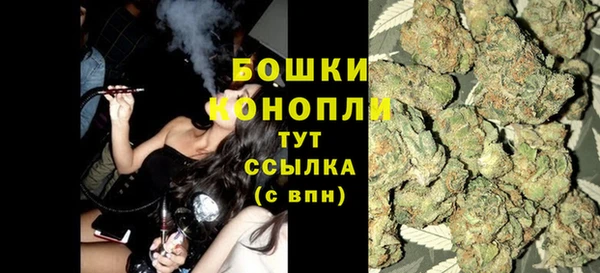 амф Няндома