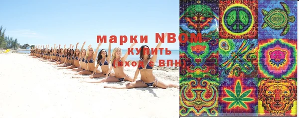 амф Няндома