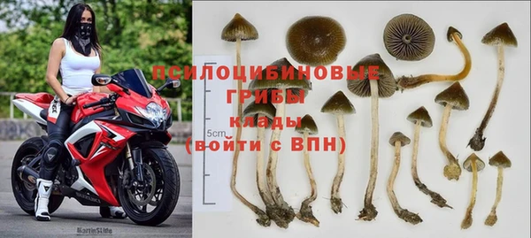MESCALINE Нягань