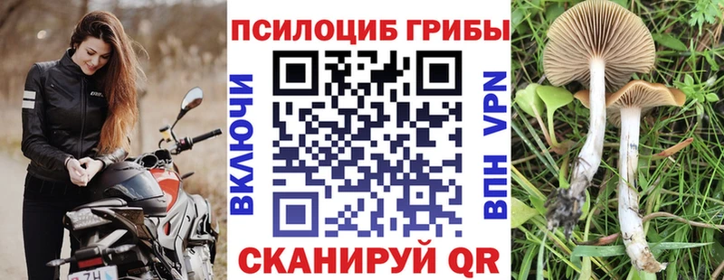 где купить наркотик Иннополис мега ССЫЛКА Галлюциногенные грибы MAGIC MUSHROOMS